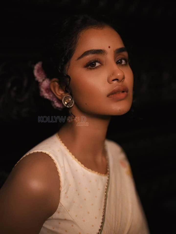 Elegant Heroine Anupama Parameswaran in a Cream Handover Floral Embroidered Saree Photos 05