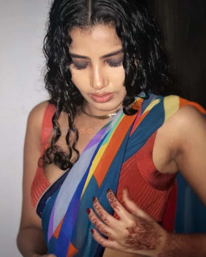 Fiery Hot Anupama Parameswaran in a Colorful Saree Photos 05