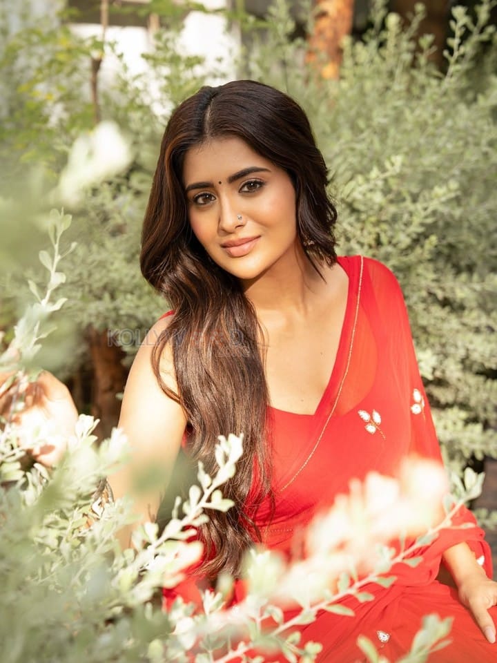 Gorgeous Rashi Singh in a Red Saree Photos 04