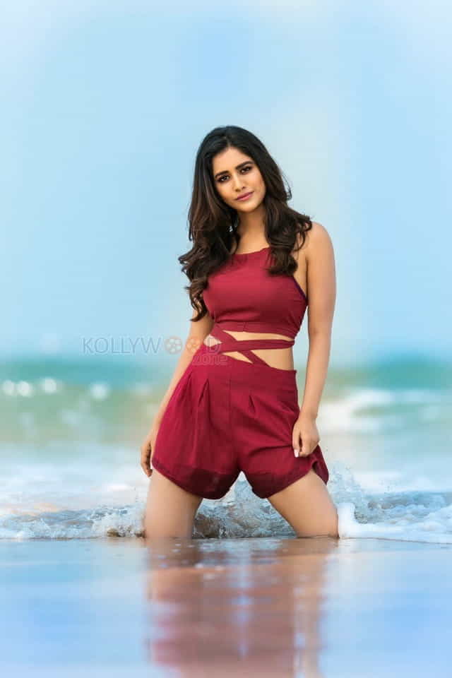 Heroine Nabha Natesh In Beach Photos