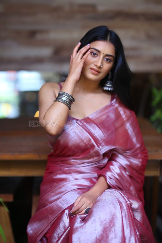 Heroine Rashi Singh at Bhoothaddam Bhaskar Narayana Interview Photos 33