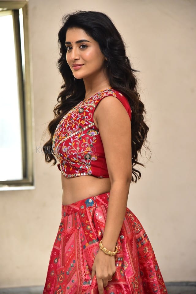 Heroine Rashi Singh at Paanch Minar Press Meet Photos 12