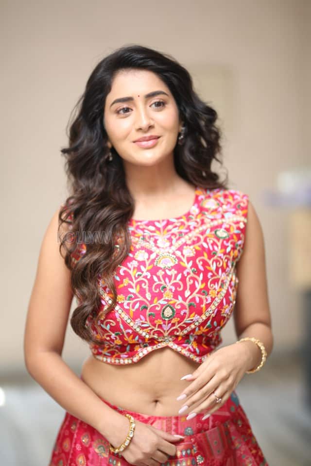 Heroine Rashi Singh at Paanch Minar Press Meet Photos 20