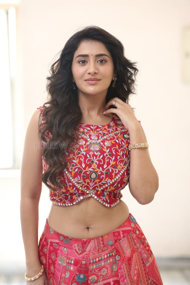 Heroine Rashi Singh at Paanch Minar Press Meet Photos 39