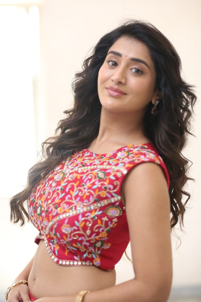 Heroine Rashi Singh at Paanch Minar Press Meet Photos 41