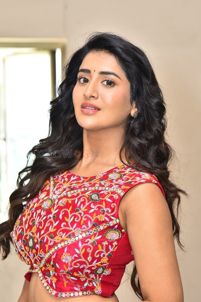 Heroine Rashi Singh at Paanch Minar Press Meet Photos 49