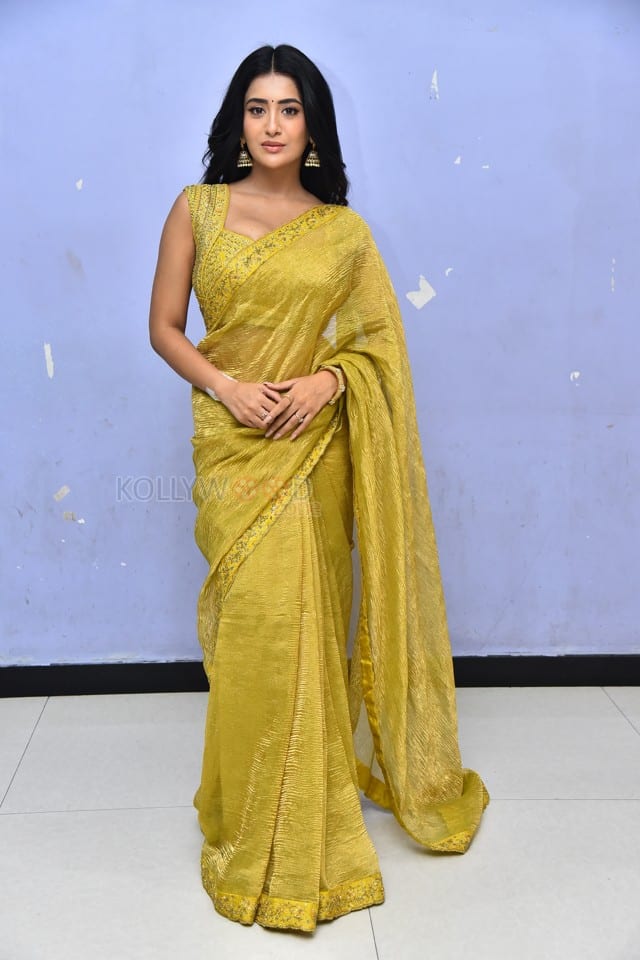Heroine Rashi Singh at Raju Gani Saval Movie Press Meet Pictures 05