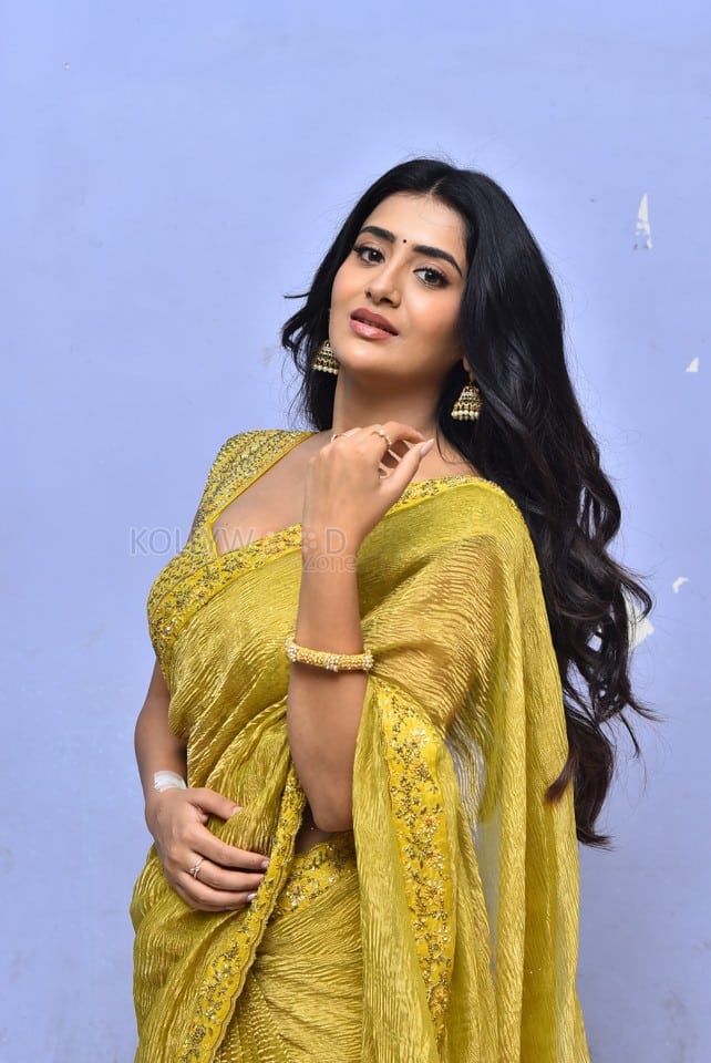 Heroine Rashi Singh at Raju Gani Saval Movie Press Meet Pictures 18
