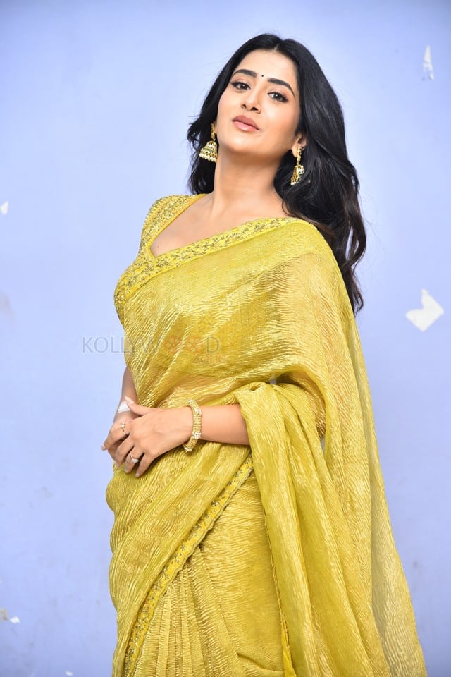 Heroine Rashi Singh at Raju Gani Saval Movie Press Meet Pictures 20