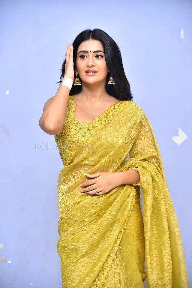 Heroine Rashi Singh at Raju Gani Saval Movie Press Meet Pictures 25