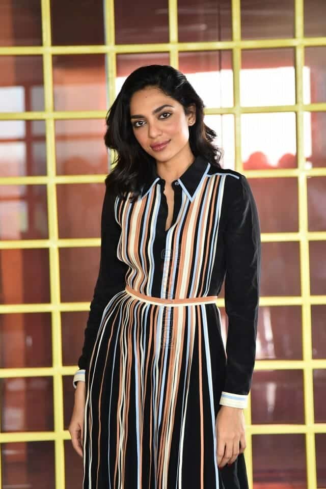 Heroine Sobhita Dhulipala at Major Movie Interview Photos 22