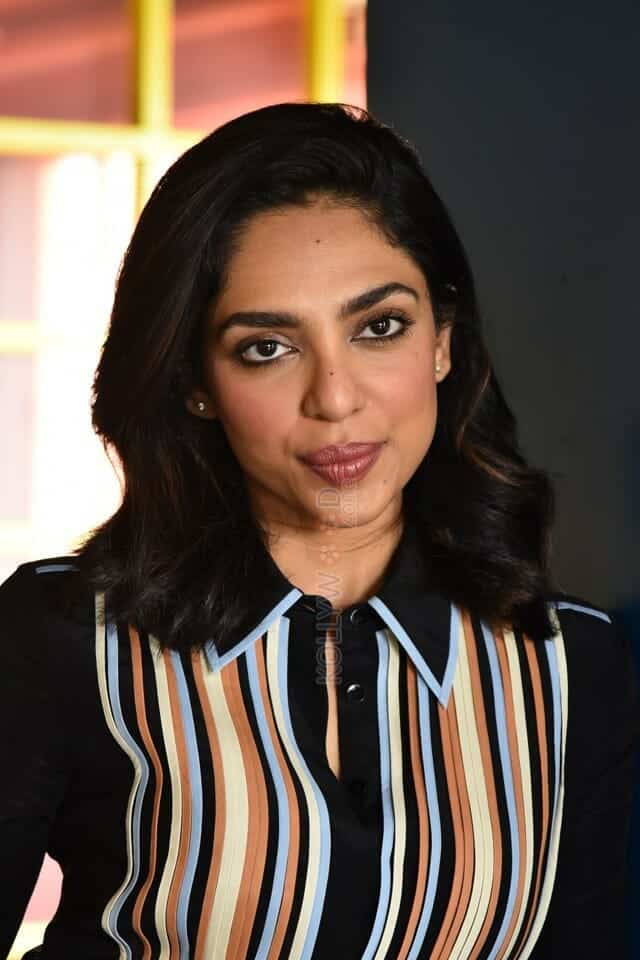 Heroine Sobhita Dhulipala at Major Movie Interview Photos 25