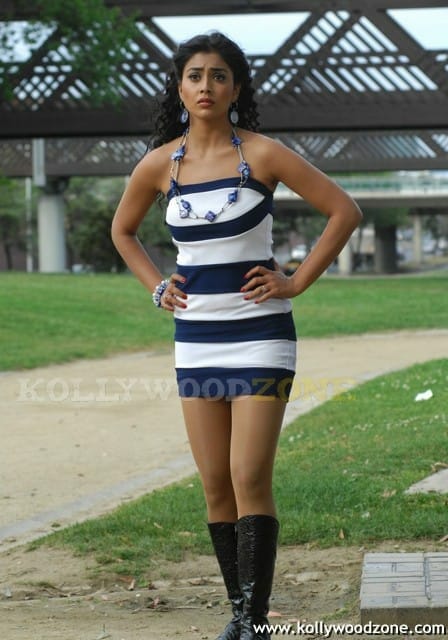 Hot And Sexy Shriya Saran In Don Seenu Movie