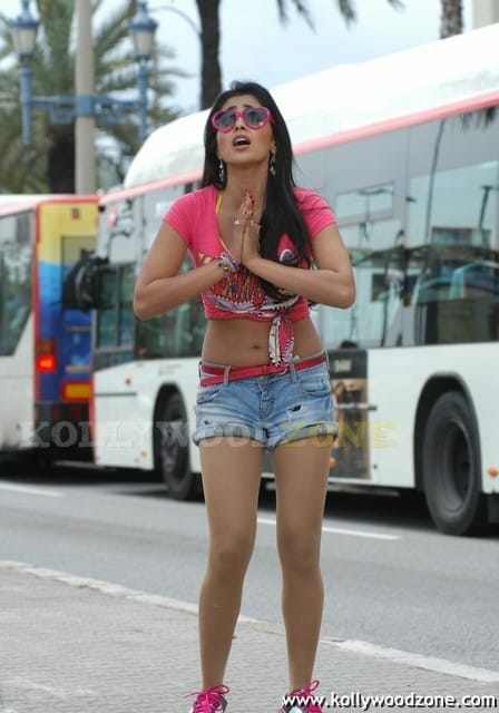 Hot And Sexy Shriya Saran In Don Seenu Movie
