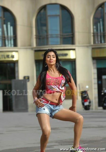 Hot And Sexy Shriya Saran In Don Seenu Movie