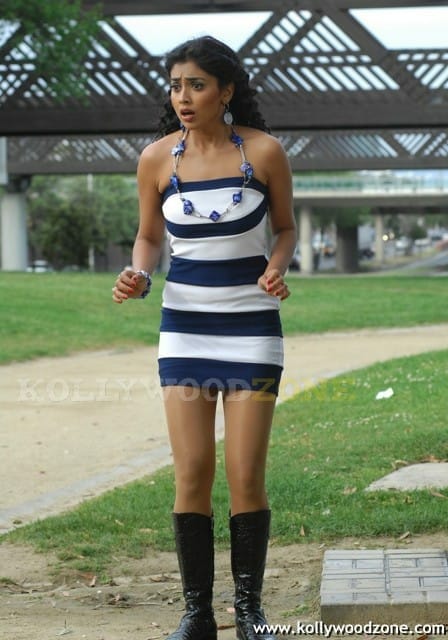 Hot And Sexy Shriya Saran In Don Seenu Movie
