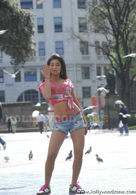 Hot And Sexy Shriya Saran In Don Seenu Movie
