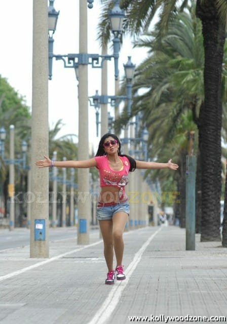 Hot And Sexy Shriya Saran In Don Seenu Movie