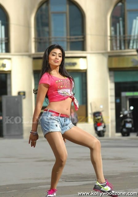 Hot And Sexy Shriya Saran In Don Seenu Movie