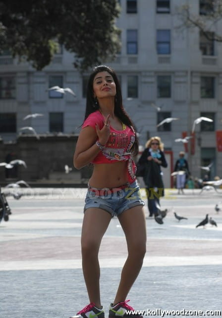 Hot And Sexy Shriya Saran In Don Seenu Movie