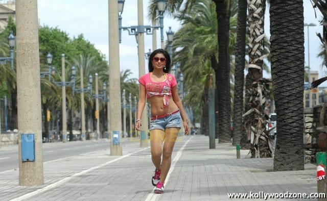 Hot And Sexy Shriya Saran In Don Seenu Movie