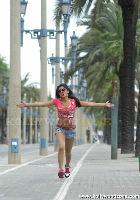 Hot And Sexy Shriya Saran In Don Seenu Movie