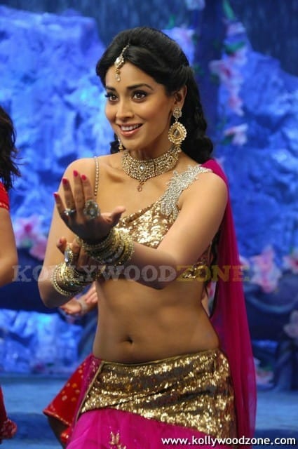 Hot And Sexy Shriya Saran Pics