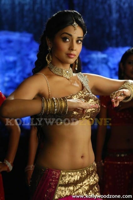 Hot And Sexy Shriya Saran Pics