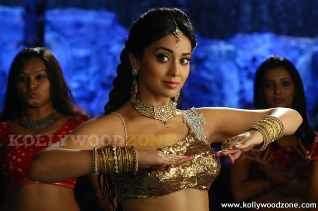 Hot And Sexy Shriya Saran Pics