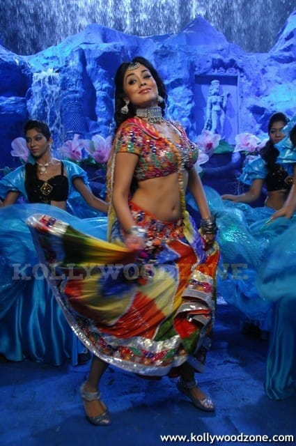 Hot And Sexy Shriya Saran Pics
