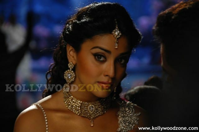 Hot And Sexy Shriya Saran Pics