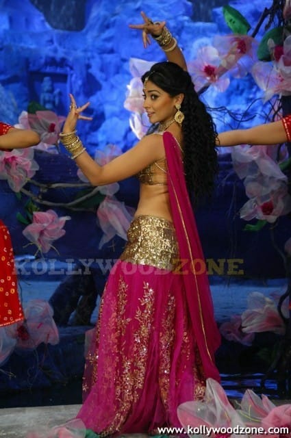 Hot And Sexy Shriya Saran Pics