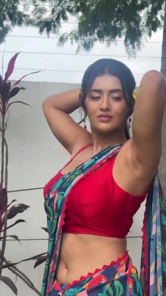 Hot Rashi Singh Navel and Armpits in a Saree with Sleeveless Red Blouse Photos 01