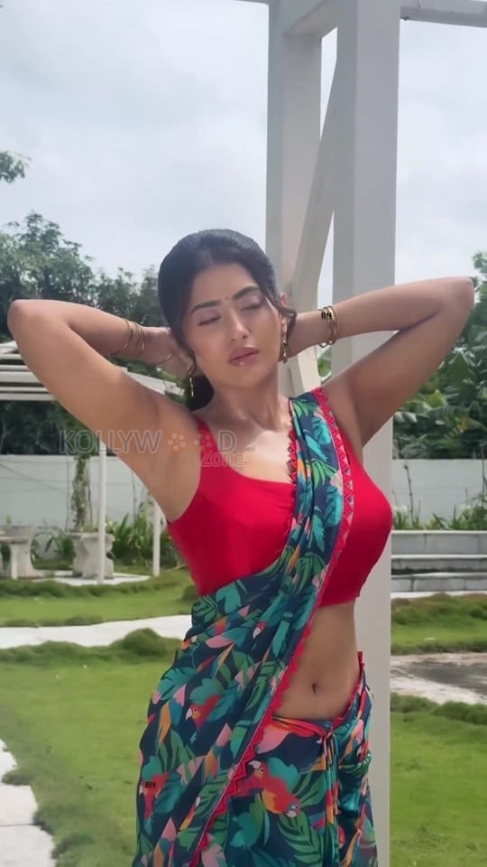 Hot Rashi Singh Navel and Armpits in a Saree with Sleeveless Red Blouse Photos 04