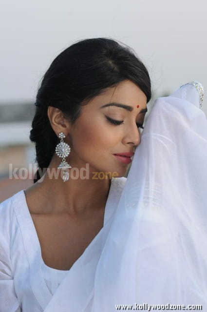 Hot Sexy Shriya In Pavitra Movie Pictures