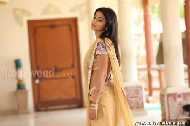 Hot Sexy Shriya In Pavitra Movie Pictures