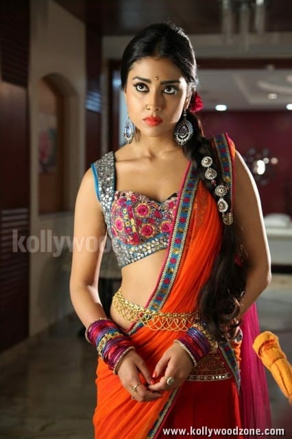 Hot Sexy Shriya In Pavitra Movie Pictures