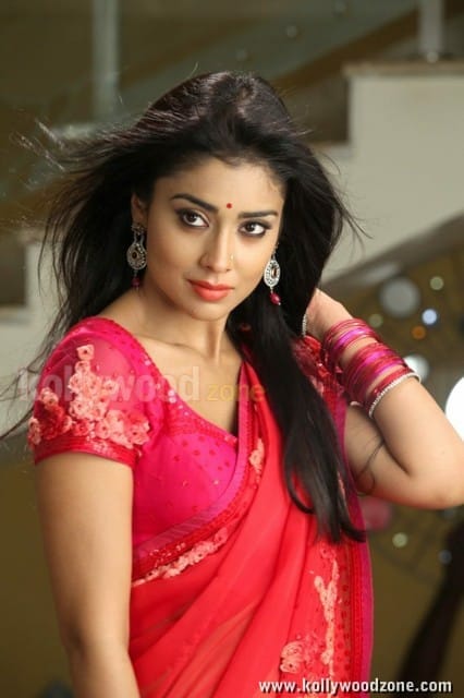 Hot Sexy Shriya In Pavitra Movie Pictures