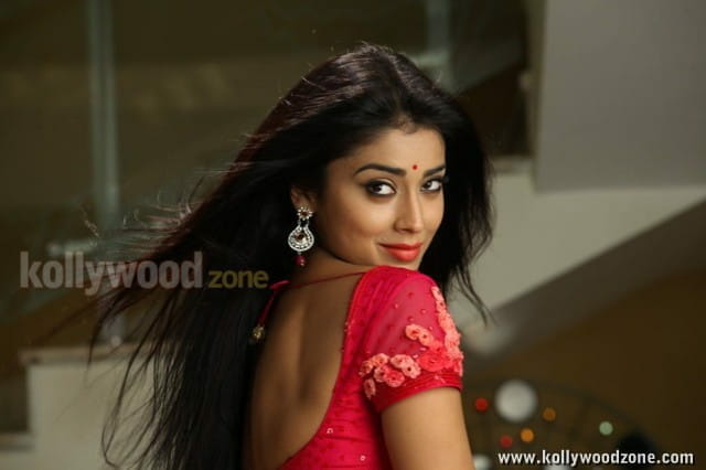 Hot Sexy Shriya In Pavitra Movie Pictures