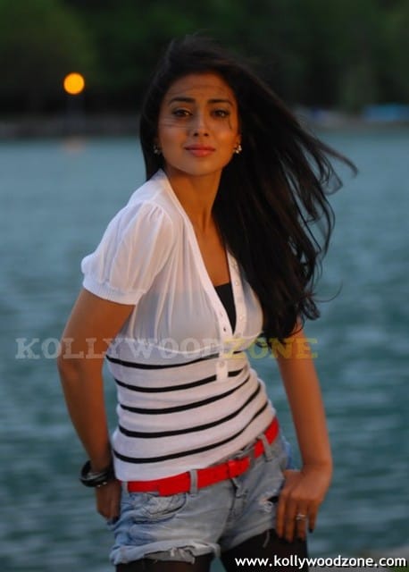 Hot Sexy Shriya Saran In Don Seenu Movie Stills