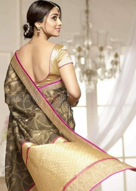 Indian Actress Shriya Saran Pictures