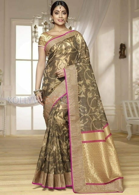 Indian Actress Shriya Saran Pictures