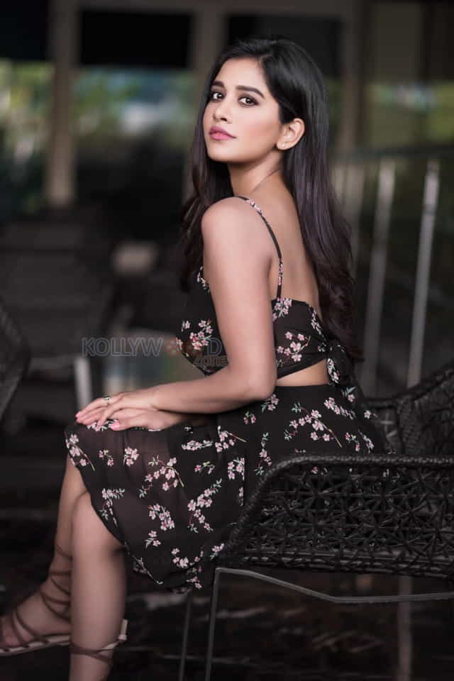 Ismart Shankar Actress Nabha Natesh Sexy Photos