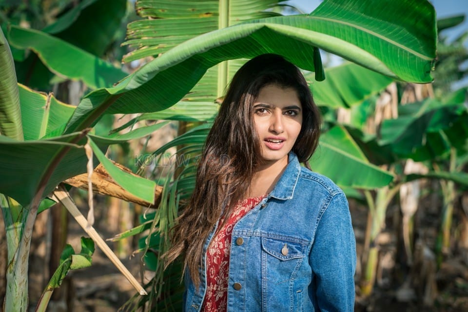 Kolaigaran Actress Ashima Narwal Pictures