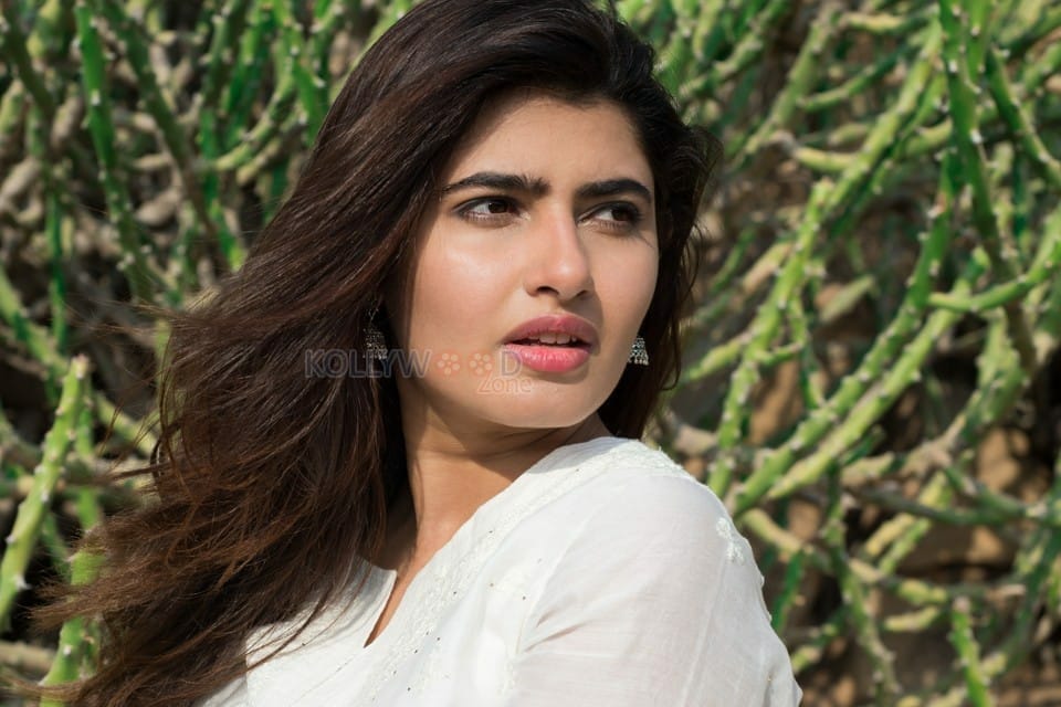 Kolaigaran Actress Ashima Narwal Pictures