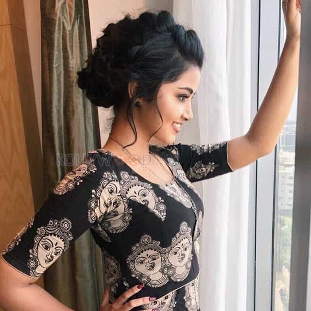Malayalam Actress Anupama Parameswaran New Pics