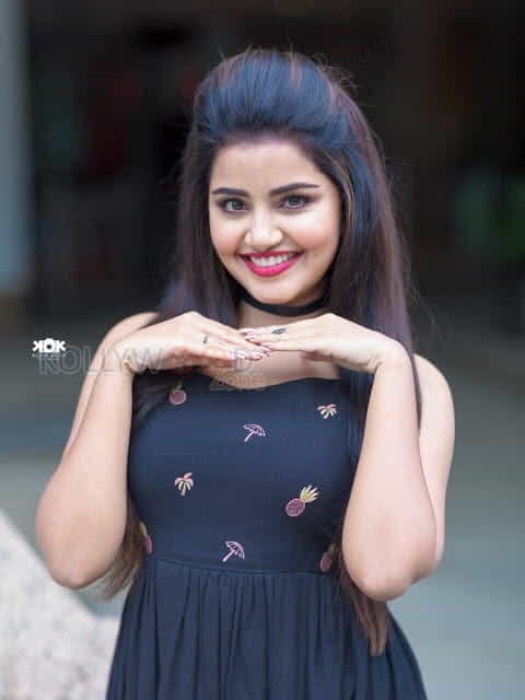 Malayalam Actress Anupama Parameswaran New Pics