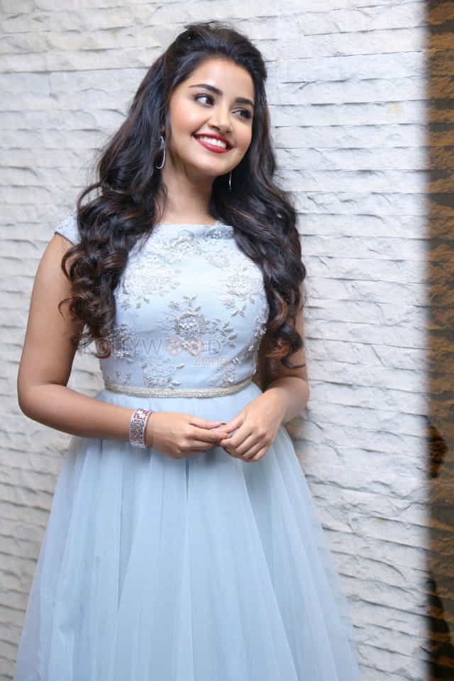 Malayalam Actress Anupama Parameswaran New Pictures