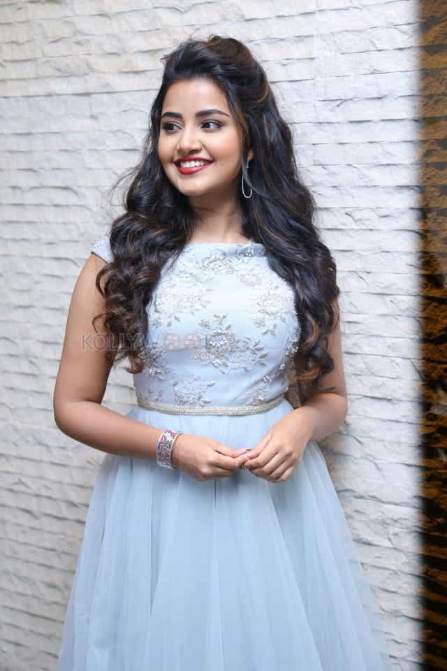 Malayalam Actress Anupama Parameswaran New Pictures