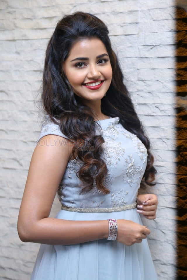 Malayalam Actress Anupama Parameswaran New Pictures